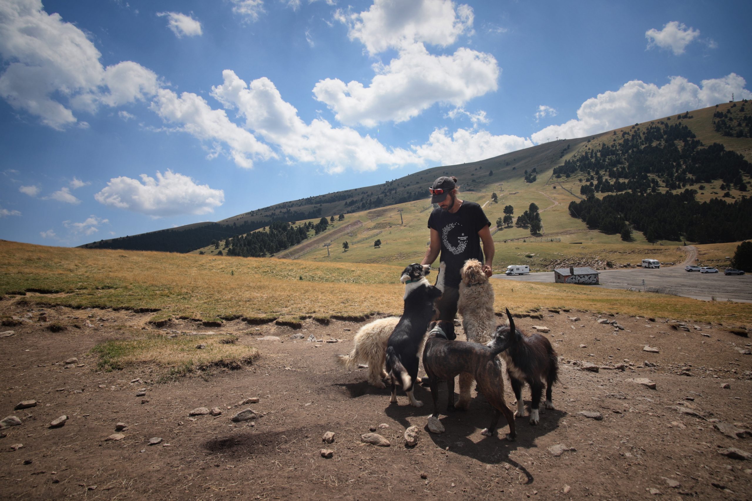 Arnau Rubió: «Se tendría que explicar a los visitantes cómo comportarse para no molestar a les ovejas»